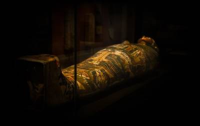 Древней мумии сделали МРТ - korrespondent.net - Египет