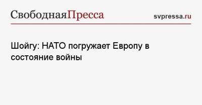 Сергей Шойгу - Шойгу: НАТО погружает Европу в состояние войны - svpressa.ru - Москва - Брюссель
