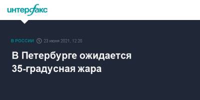 В Петербурге ожидается 35-градусная жара - interfax.ru - Москва - Санкт-Петербург - Петербург