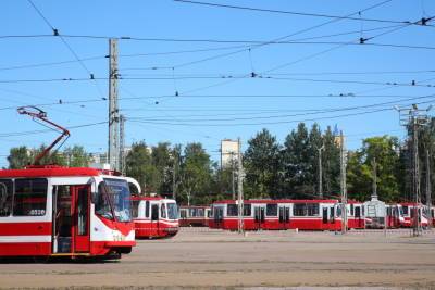 Пассажиров остановившейся синей ветки метро перевезли наземным транспортом - neva.today - Санкт-Петербург