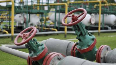 Экономист Дудчак рассказал о взлете цен на газ в случае торможения "Северного потока — 2" - inforeactor.ru