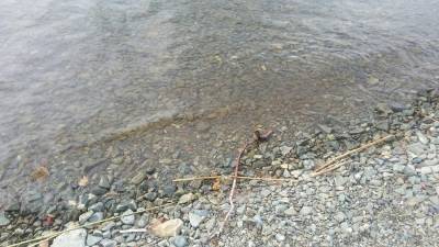 В Уфе за сутки четыре человека спасли от гибели на воде - ufacitynews.ru - Уфа