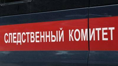 Ольга Врадий - СК возбудил дело после обнаружения тела с простреленной головой под Раменским - iz.ru - Московская обл.