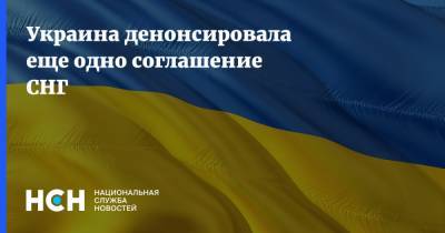 Украина денонсировала еще одно соглашение СНГ - nsn.fm - Украина - Киев - Узбекистан - Молдавия - Грузия - Киргизия - Таджикистан - Туркмения - Азербайджан - Ашхабад