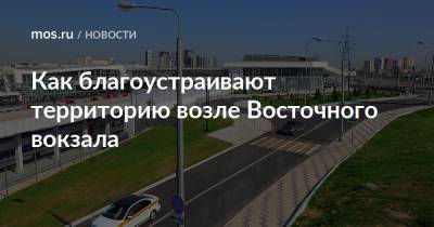 Петр Бирюков - Как благоустраивают территорию возле Восточного вокзала - mos.ru - Москва - Благоустройство