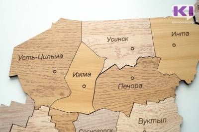 Четыре термодеструктора закроют потребность по утилизации ТКО в Печоре и Усть-Цильме - komiinform.ru - респ. Коми - Сыктывкар