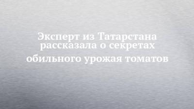 Эксперт из Татарстана рассказала о секретах обильного урожая томатов - chelny-izvest.ru - респ. Татарстан