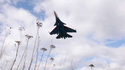 Российский Су-30СМ сопроводил американский самолет-разведчик над Охотским морем - gazeta.ru - Англия