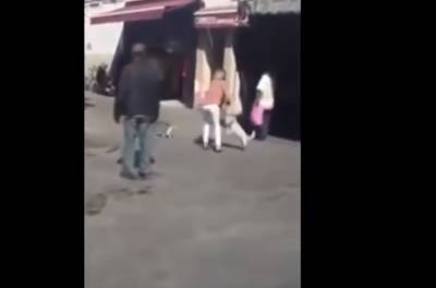 Одесситка во время прогулки не удержала свою собаку, видео: все закончилось печально - politeka.net - Нападение