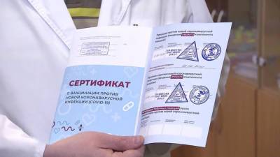 Владимир Путин - Татьяна Голикова - В сертификат вакцинированного впишут сроки действия защиты - vesti.ru