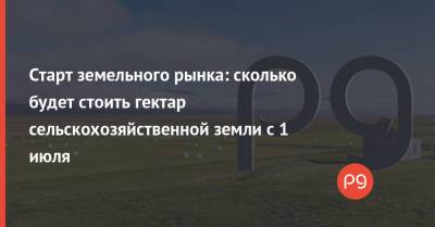 Старт земельного рынка: сколько будет стоить гектар сельскохозяйственной земли с 1 июля - thepage.ua