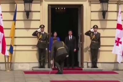 Владимир Зеленский - Украинский военный уронил оружие, приветствуя президента Грузии - mk.ru - Киев - Грузия