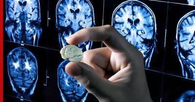 Человеческий мини-мозг: лечение главного органа может выйти на новый уровень - profile.ru
