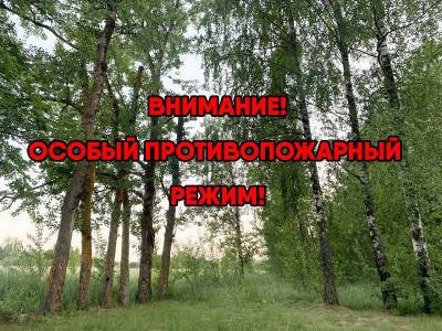 На территории Шумячского района Смоленской области установлен особый противопожарный режим - rabochy-put.ru - Смоленская обл.