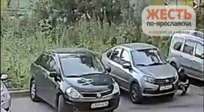 «Челлендж из ТикТока»: ярославцы ищут хулиганов, которые снимают колпачки с чужих авто - progorod76.ru - Ярославская обл. - Ярославль