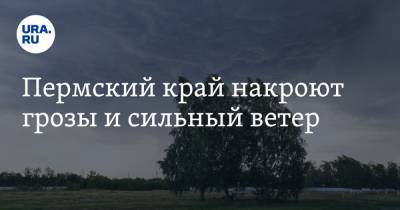 Пермский край накроют грозы и сильный ветер - ura.news - Пермь - Пермский край