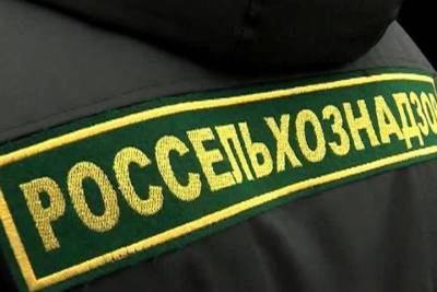 На тверском рынке проверили рыбу - tver.mk.ru - Тверь - Тверская обл.