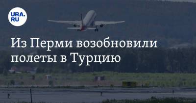 Из Перми возобновили полеты в Турцию - ura.news - Турция - Пермь - Стамбул