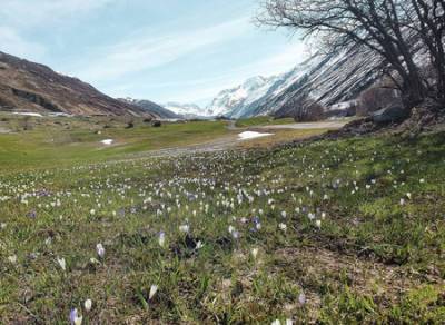 Andermatt Swiss Alps выступил партнером премии «Филантроп года» - vkurse.net - Швейцария