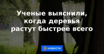 Ученые выяснили, когда деревья растут быстрее всего - news.mail.ru - Швейцария
