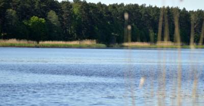 Температура воды в латвийских реках бьет рекорды - rus.delfi.lv - Латвия