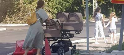 Беременные и семьи с детьми могут подать заявления на новые пособия с 1 июля - stolicaonego.ru