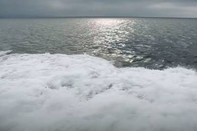 В Беринговом море открыли новый вид рыб - mk.ru