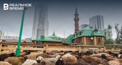 В ДУМ РТ назвали места заклания в Казани в Курбан-байрам - realnoevremya.ru - респ. Татарстан - Казань