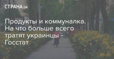 Продукты и коммуналка. На что больше всего тратят украинцы - Госстат - strana.ua