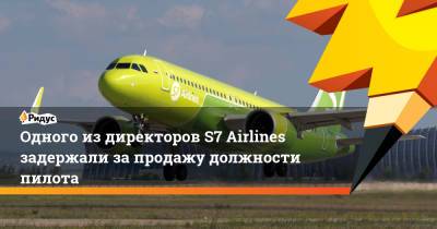 Одного издиректоров S7 Airlines задержали запродажу должности пилота - ridus.ru - Московская обл.