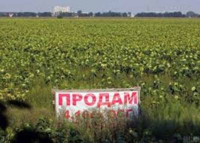 Денис Шмыгаль - Шмыгаль рассказал, кому предоставят преимущественное право на покупку украинской земли - lenta.ua