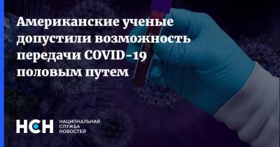 Американские ученые допустили возможность передачи COVID-19 половым путем - nsn.fm - США