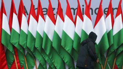 Венгерские болельщики повернулись спиной к полю во время гимна Германии - gazeta.ru - Венгрия - Twitter