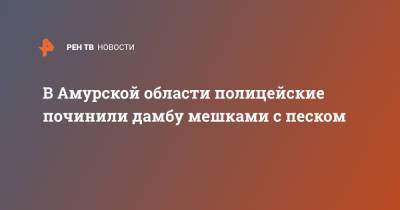 В Амурской области полицейские починили дамбу мешками с песком - ren.tv - Амурская обл.