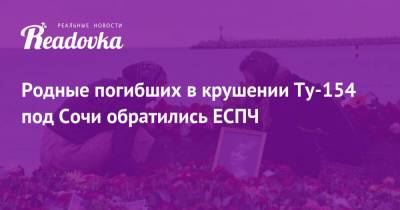 Игорь Трунов - Родные погибших в крушении Ту-154 под Сочи обратились ЕСПЧ - readovka.news - Сочи