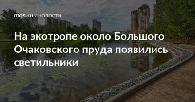 На экотропе около Большого Очаковского пруда появились светильники - mos.ru - Москва