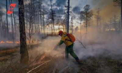В Якутии объявили режим ЧС: за сутки число лесных пожаров удвоилось - fedpress.ru - респ. Саха - Якутск