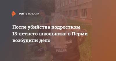 После убийства подростком 13-летнего школьника в Перми возбудили дело - ren.tv - Пермь