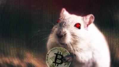 В ЮАР пропали два брата с украденными биткоинами на сумму $3,6 млрд - sharij.net - Юар