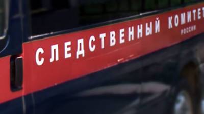 Личная неприязнь: пермский подросток зарезал 13-летнего мальчика - vesti.ru - Пермь - Пермский край