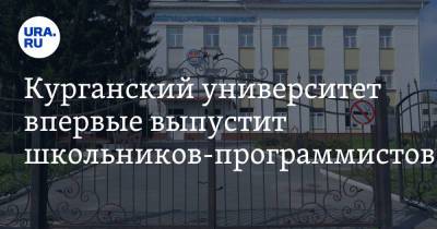 Курганский университет впервые выпустит школьников-программистов - ura.news - Курган