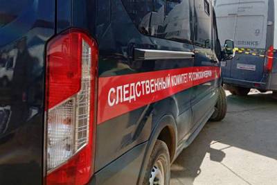 17-летний россиянин зарезал 13-летнего школьника - lenta.ru - Пермь
