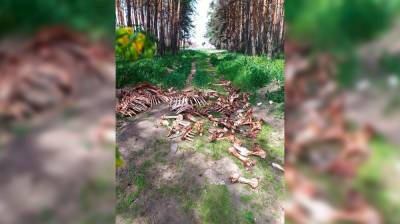 Жуткое кладбище из костей в микрорайоне Воронежа убрали спустя два дня - vestivrn.ru - Воронеж
