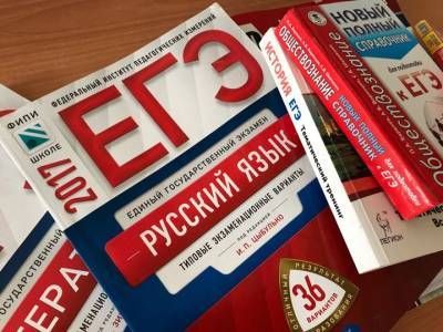 Айбулат Хажин - В Башкирии аннулировали 15 результатов ЕГЭ - ufacitynews.ru - Башкирия