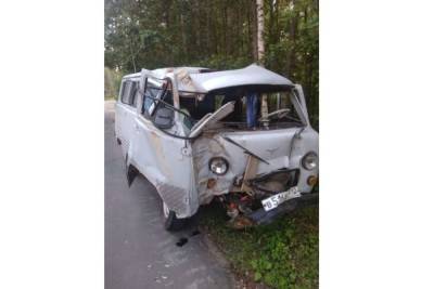 В Марий Эл скончалась пострадавшая в ДТП пассажирка УАЗа - mk.ru - респ. Марий Эл