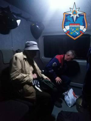 Спасатели нашли и вывели из леса в Тосненском районе заблудившегося мужчину - ivbg.ru - Украина - район Тосненский - Тосно - Ленобласть