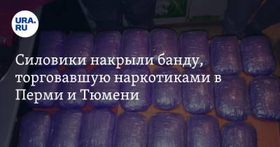 Силовики накрыли банду, торговавшую наркотиками в Перми и Тюмени - ura.news - Московская обл. - Тюмень - Тюменская обл. - Пермь - Пермский край