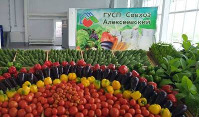 Ольга Полякова - Работники совхоза «Алексеевский» в Уфе могут лишиться отпусков из-за вакцинации - mkset.ru - Башкирия - Уфа