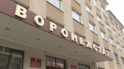 В Воронежской области обнаружили микропредприятия с миллиардными доходами - vestivrn.ru - Воронежская обл.