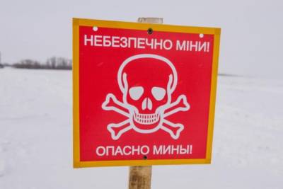 Стоп мины!: Для жителей Северодонецка впервые провели необычную презентацию - vchaspik.ua - Украина - Германия - Северодонецк